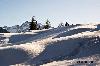 winter 2009.jpg